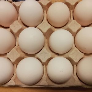 Rugeegg av renraset Jærhøns - Bilde 6