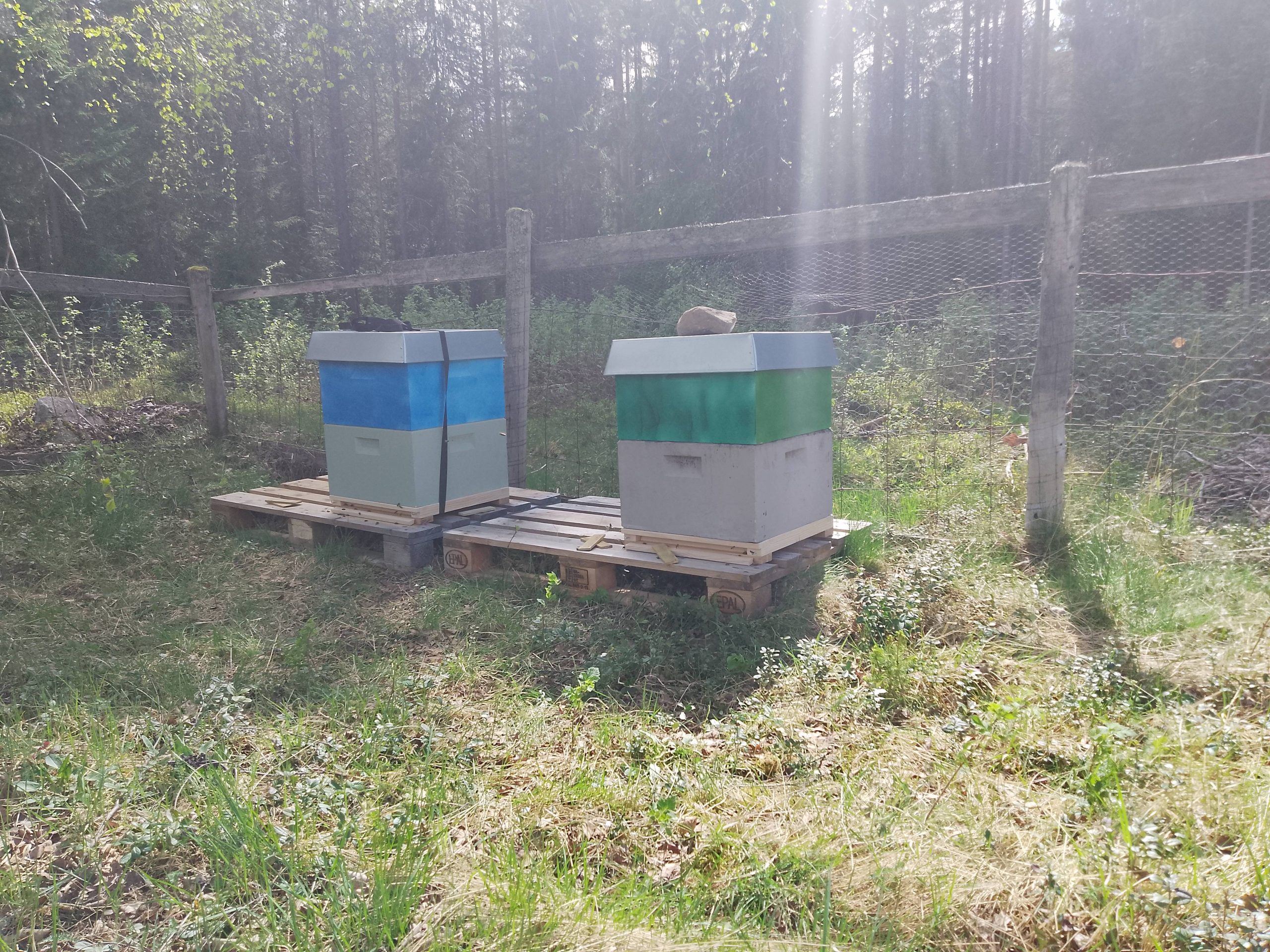 230 g Lynghonning - 2025 - Bilde 3